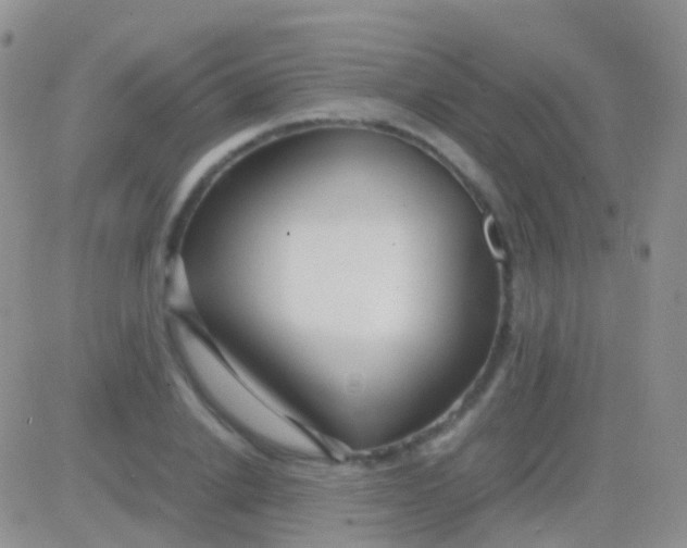 X0000083060838200702232019