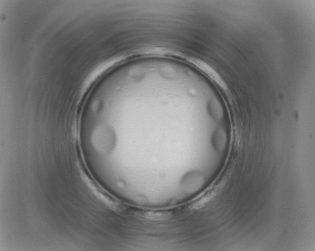 X0000083060839200702232019