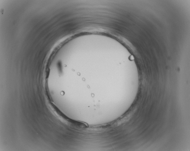 X0000083060840200702232019