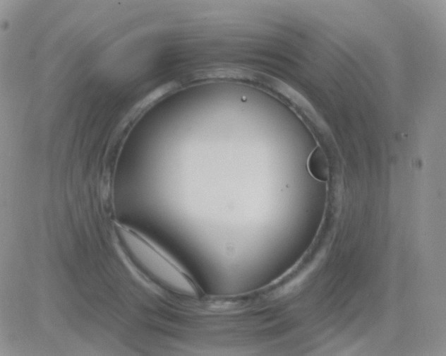 X0000083060841200702232019