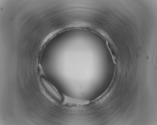 X0000083060842200702232019