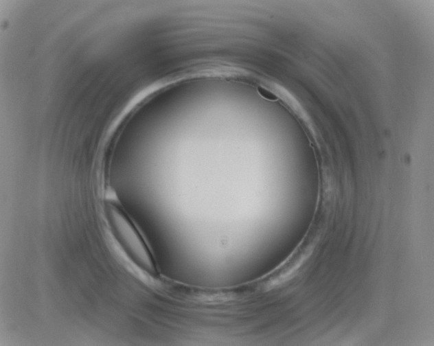 X0000083060843200702232019