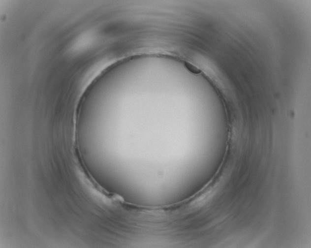 X0000083060844200702232019