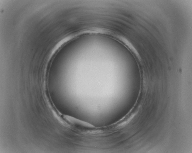 X0000083060845200702232019