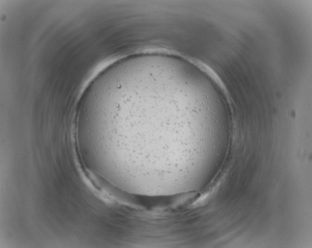 X0000083060847200702232019