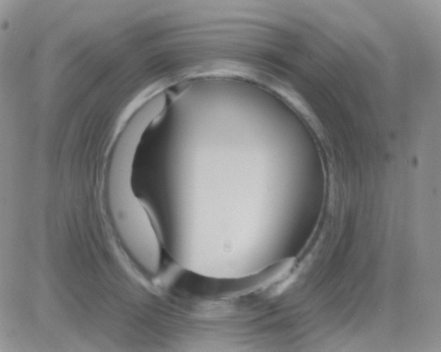 X0000083060850200702232019