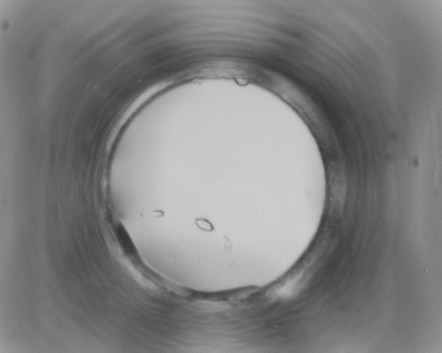 X0000083060852200702232019