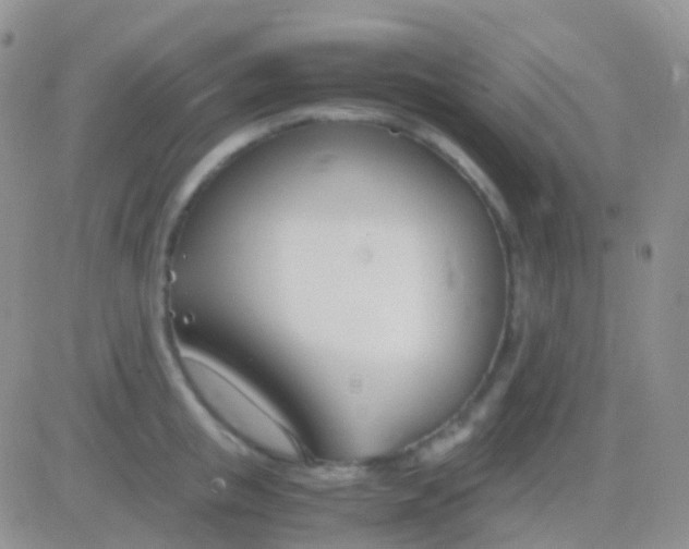 X0000083060853200702232019