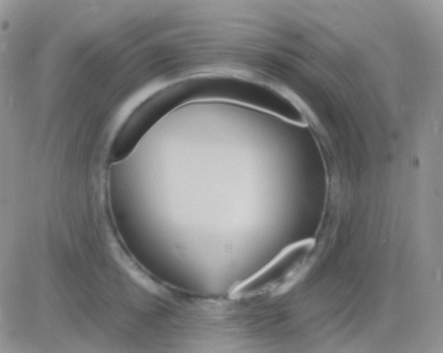 X0000083060854200702232019