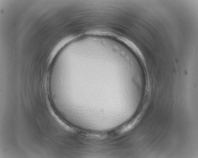 X0000083060855200702232019