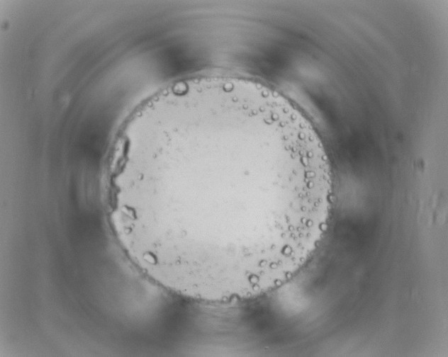 X0000083060856200702232019