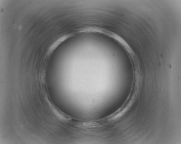 X0000083060857200702232019