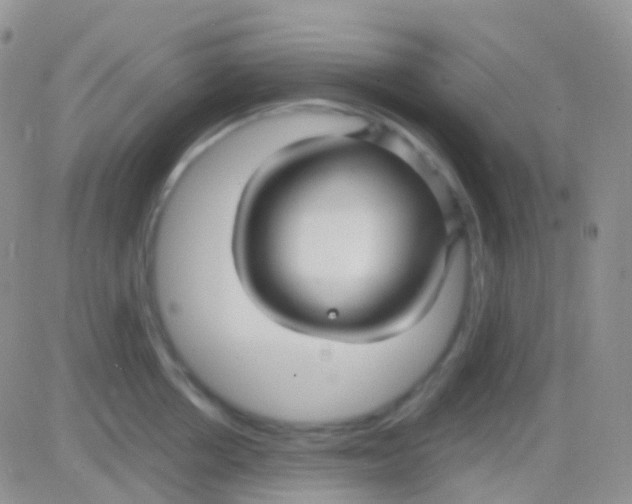 X0000083060858200702232019