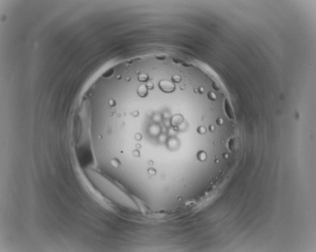 X0000083060859200702232019