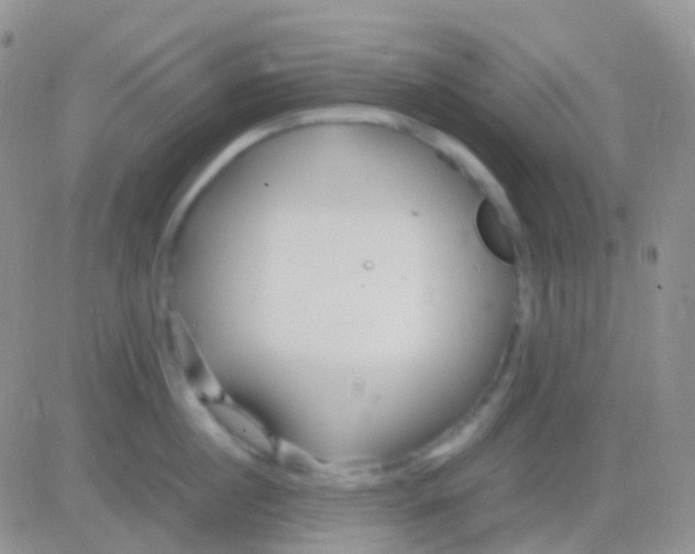 X0000083060860200702232019