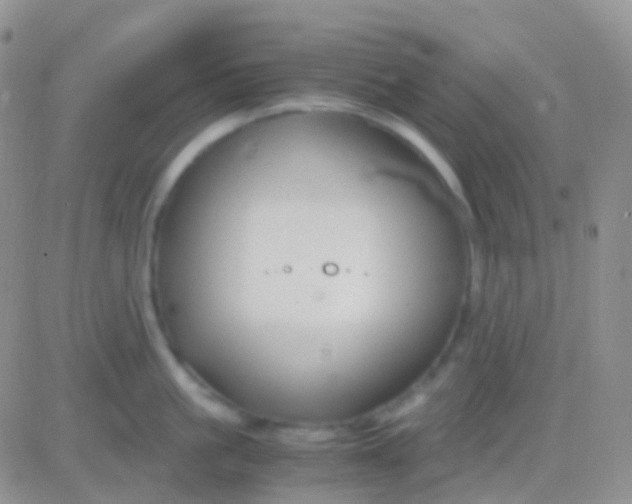 X0000083060861200702232019