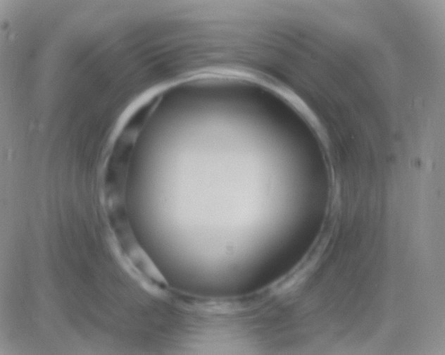 X0000083060862200702232019