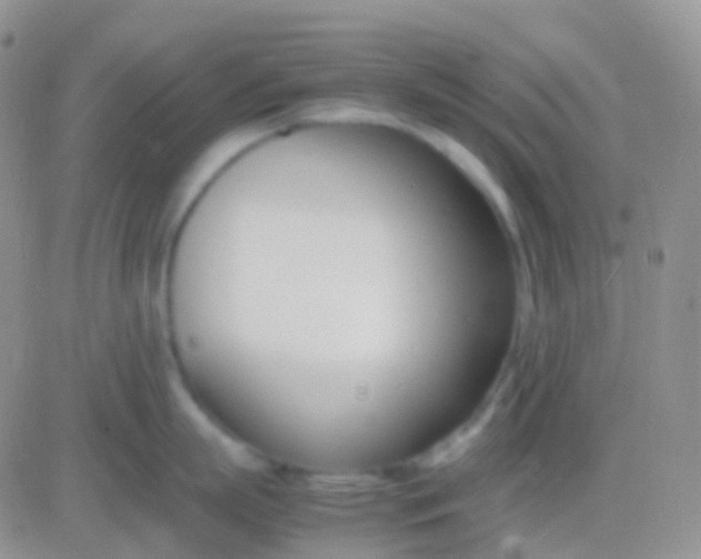 X0000083060863200702232019