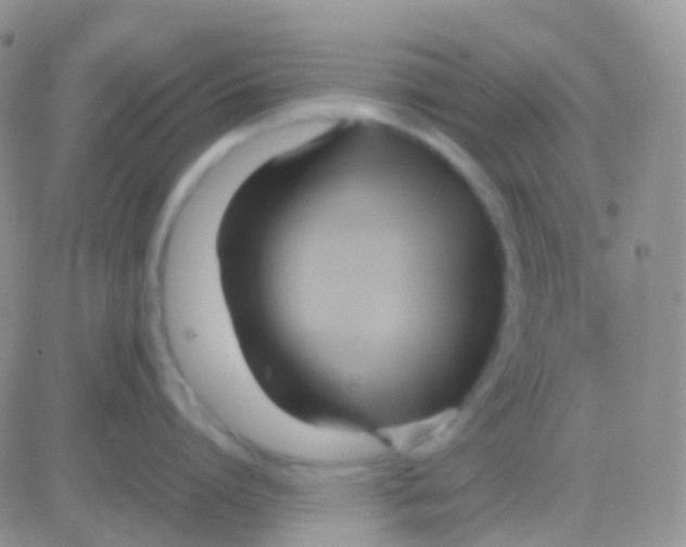 X0000083060864200702232019