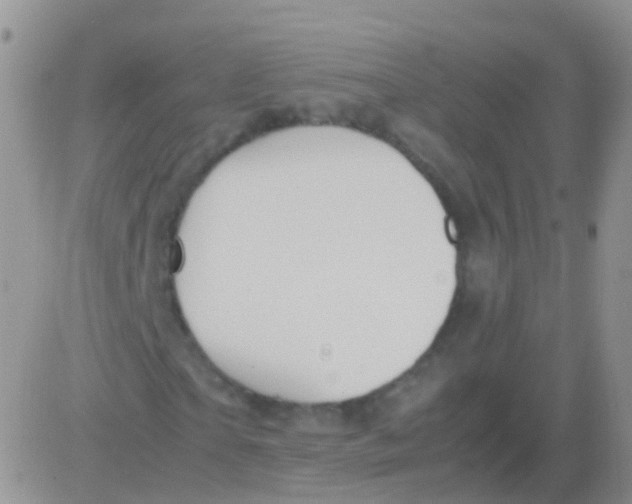 X0000083060865200702232019