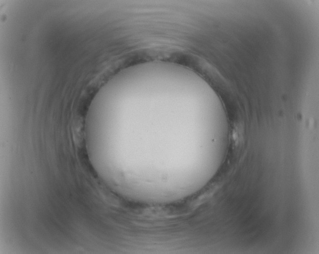 X0000083060867200702232019