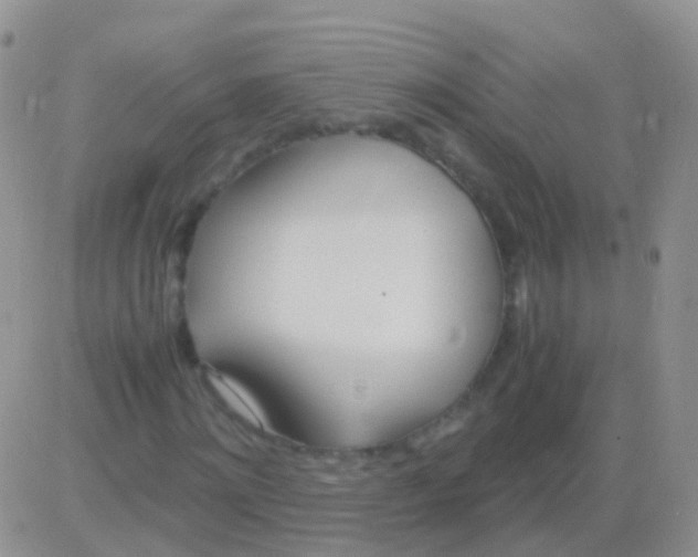 X0000083060868200702232019