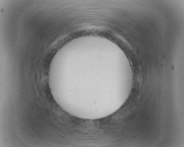 X0000083060869200702232018