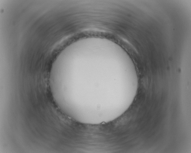 X0000083060870200702232018