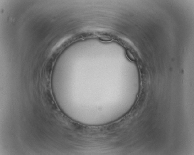 X0000083060871200702232018