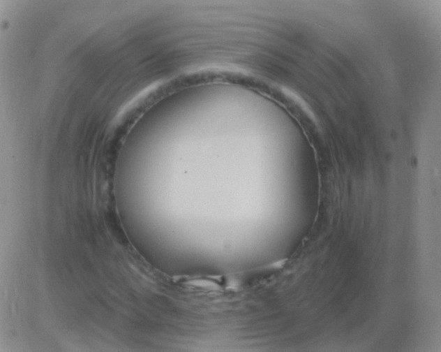 X0000083060872200702232018