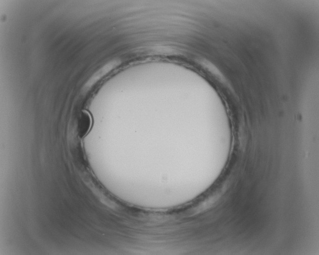 X0000083060873200702232018