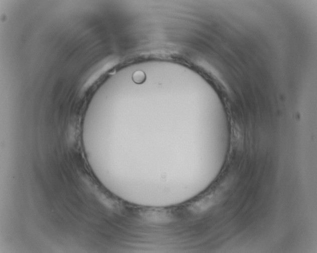 X0000083060874200702232018