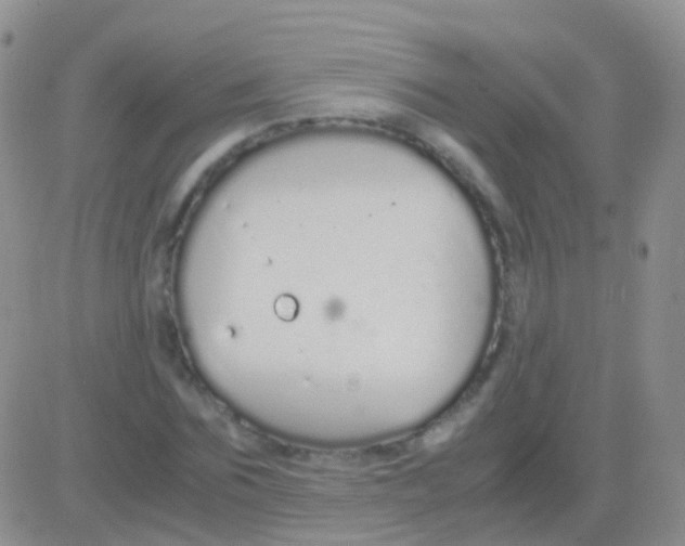 X0000083060875200702232018