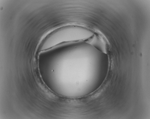 X0000083060876200702232018