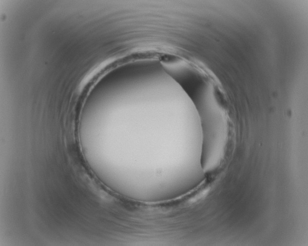 X0000083060877200702232018