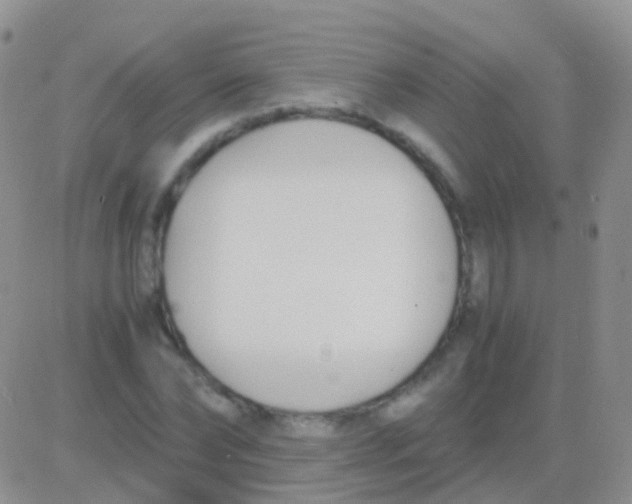 X0000083060878200702232018