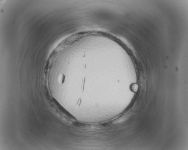 X0000083060879200702232018