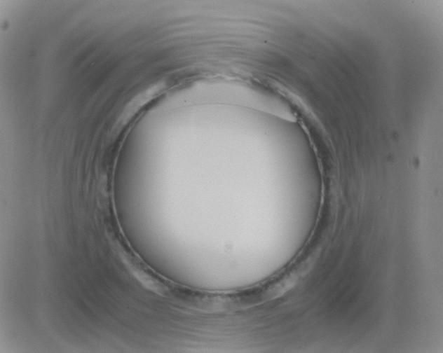 X0000083060881200702232018