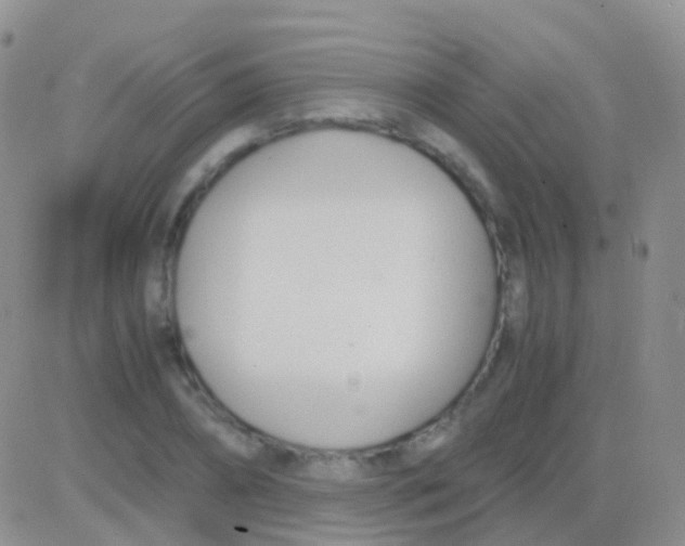 X0000083060882200702232018