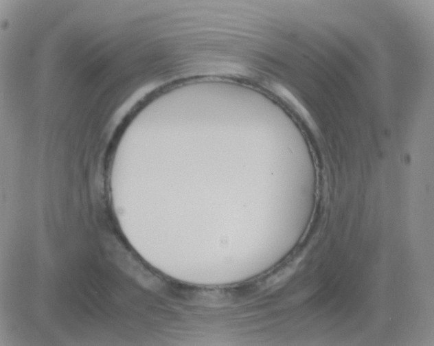 X0000083060883200702232018