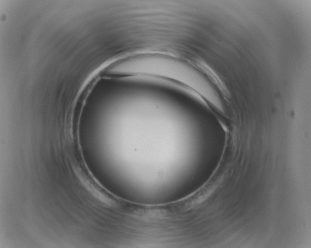 X0000083060884200702232018