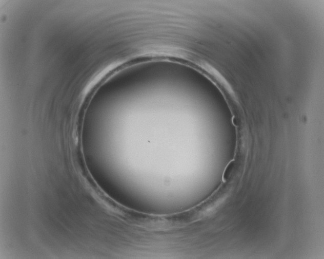 X0000083060885200702232018