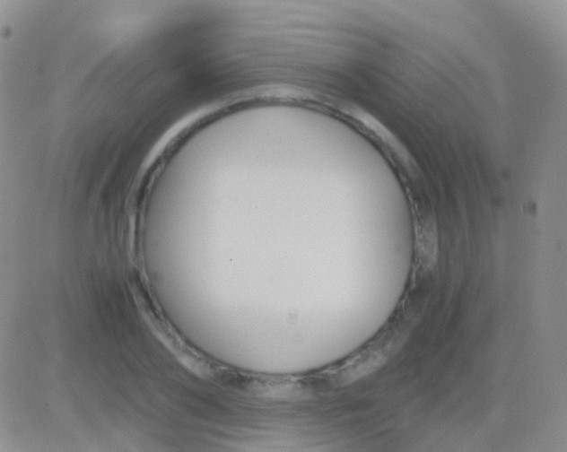 X0000083060886200702232018