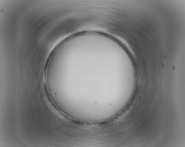 X0000083060887200702232018