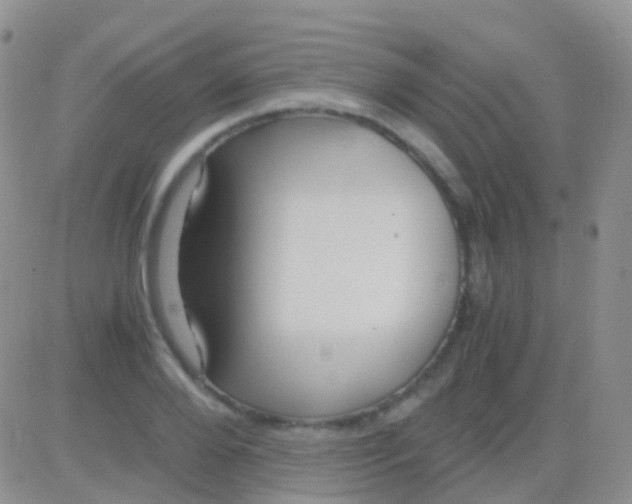 X0000083060888200702232018