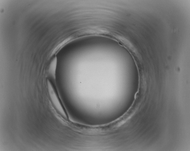 X0000083060889200702232018