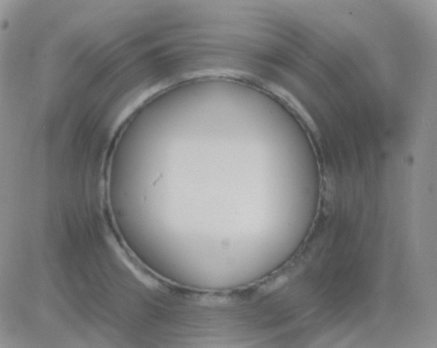 X0000083060890200702232018