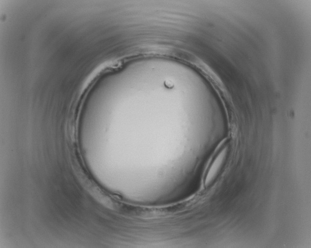 X0000083060891200702232018