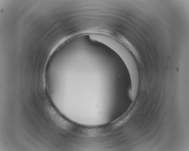 X0000083060892200702232018