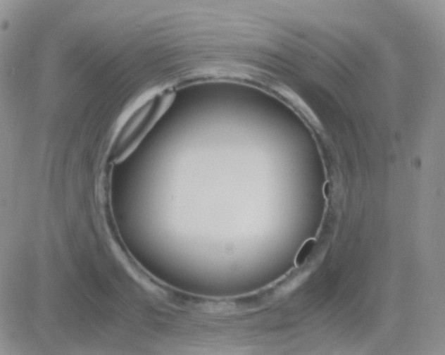 X0000083060893200702232018